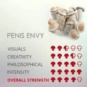 penis envy mushroom spores