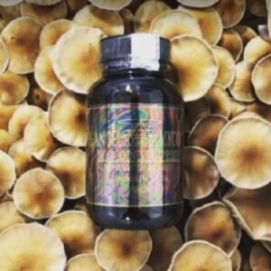 Best Organic Shiitake Mushroom Capsules for heightened consciousness